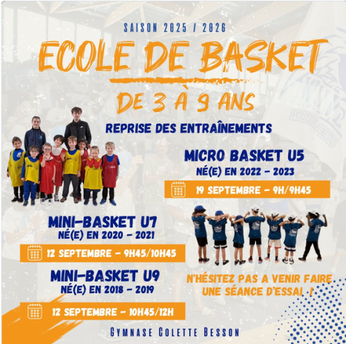 Mini-basket